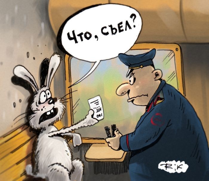 Прикольные картинки