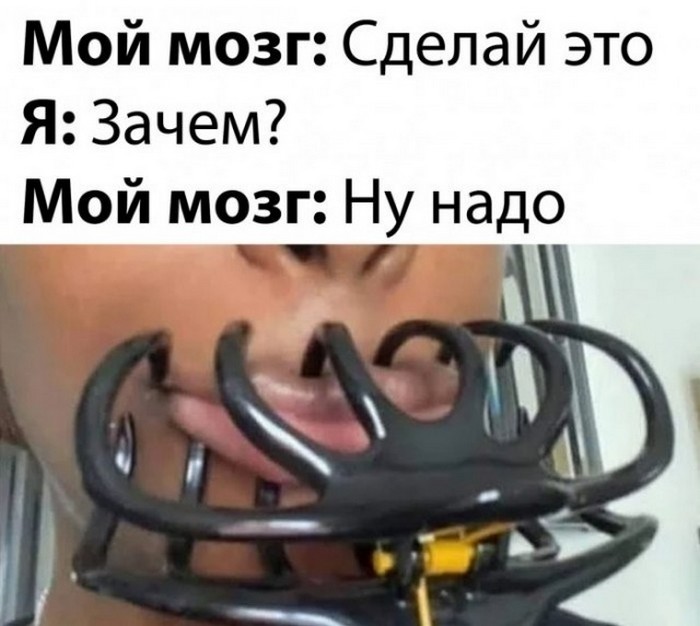 Подборка фотоприколов № 1342